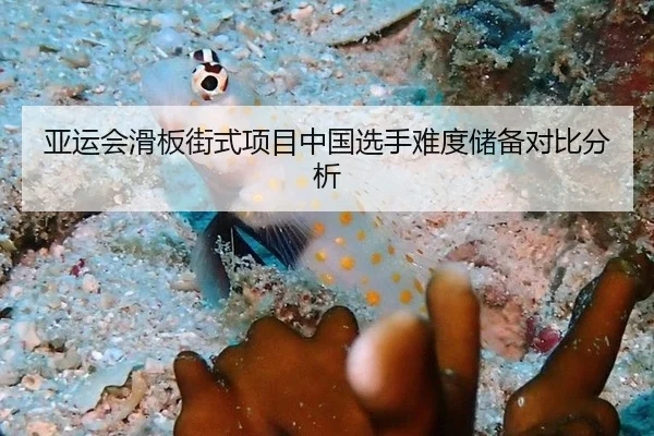 亚运会滑板街式项目中国选手难度储备对比分析