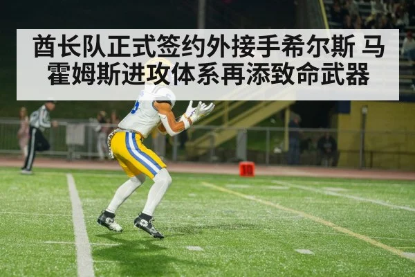 酋长队正式签约外接手希尔斯 马霍姆斯进攻体系再添致命武器