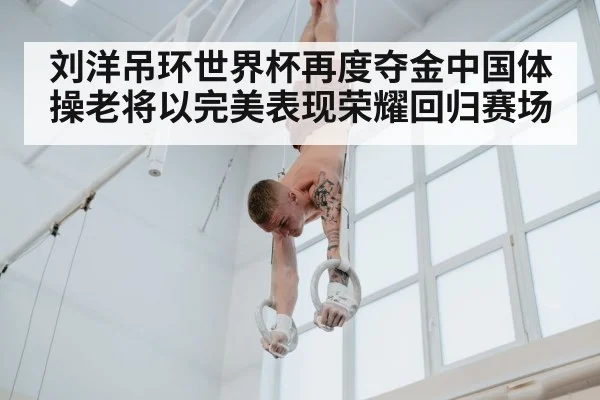 刘洋吊环世界杯再度夺金中国体操老将以完美表现荣耀回归赛场