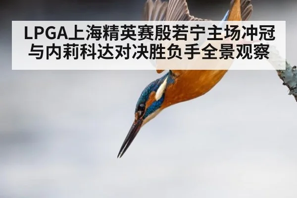 LPGA上海精英赛殷若宁主场冲冠与内莉科达对决胜负手全景观察